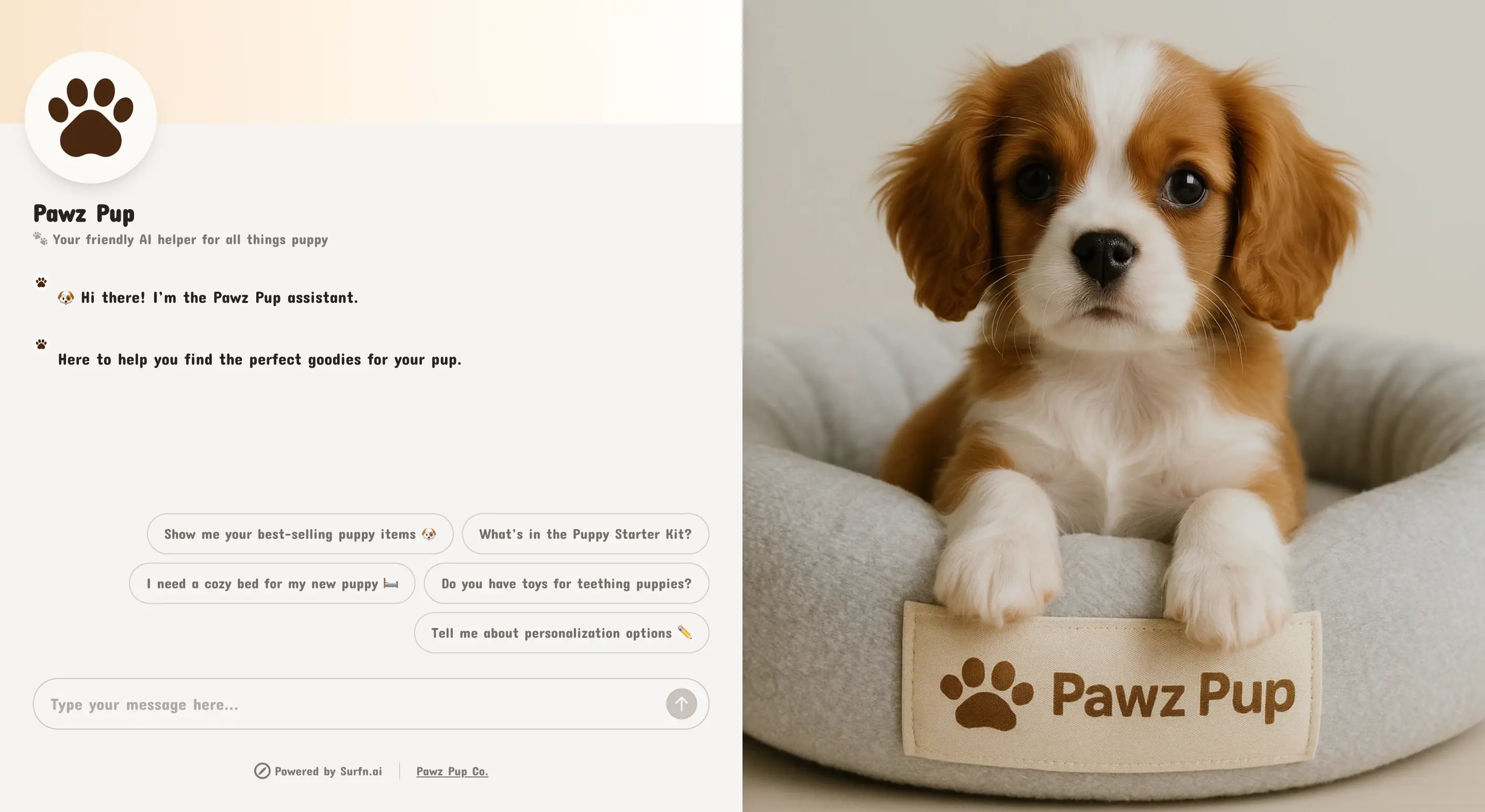 Seller AI agent landing page website with ChatGPT, Gemini, Claude AI models